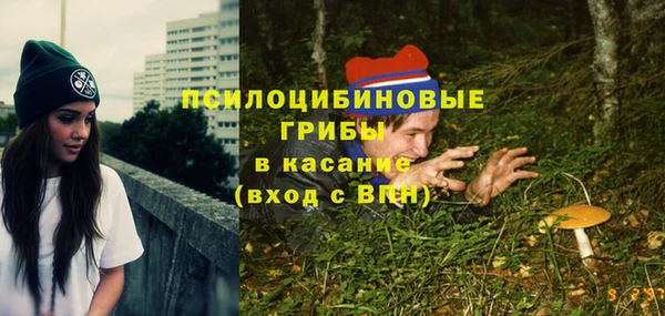 стафф Семикаракорск