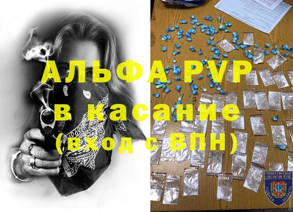эйфоретик Лысково