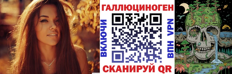 купить закладку  Солнечногорск  Псилоцибиновые грибы GOLDEN TEACHER 