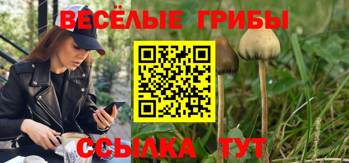 Псилоцибиновые грибы MAGIC MUSHROOMS  Солнечногорск 